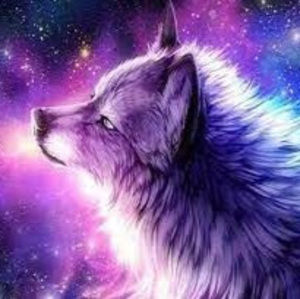 Meet your Posher, Tonja